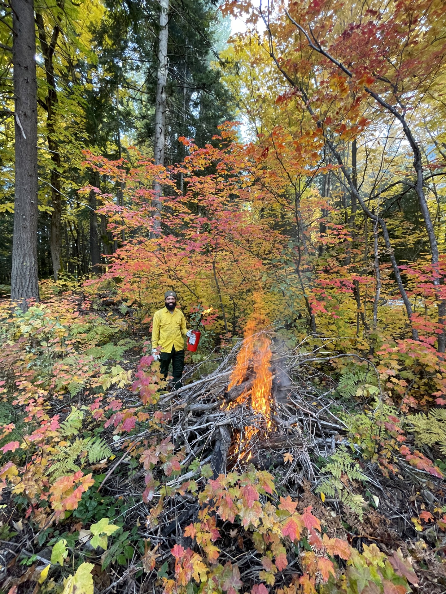 Prescribed Burn Planned at North Cascades National Park Service Complex to Improve Habitat and Reduce Wildfire Risk