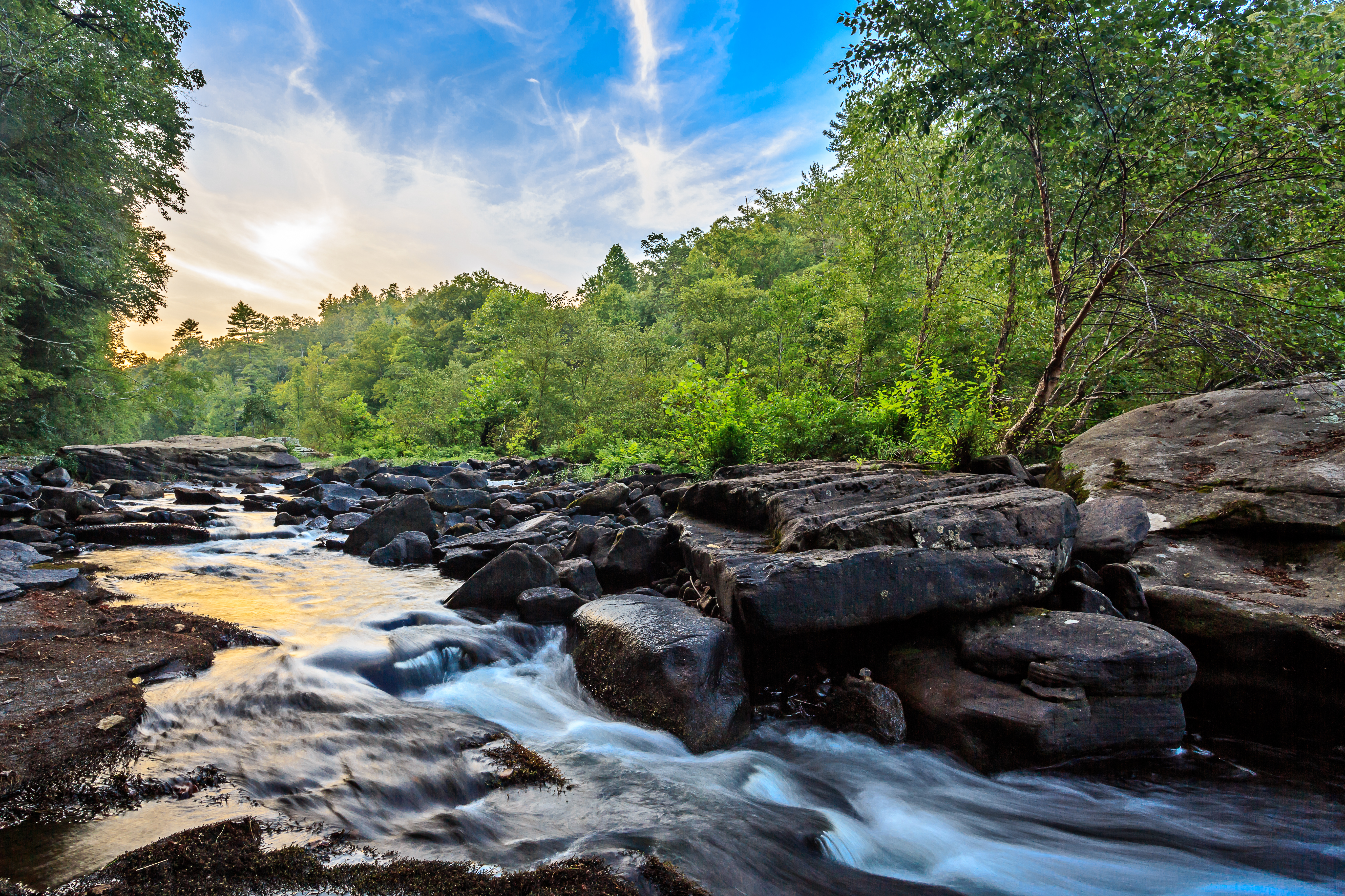 National Park Service and the University of Tennessee Announce New Partnership