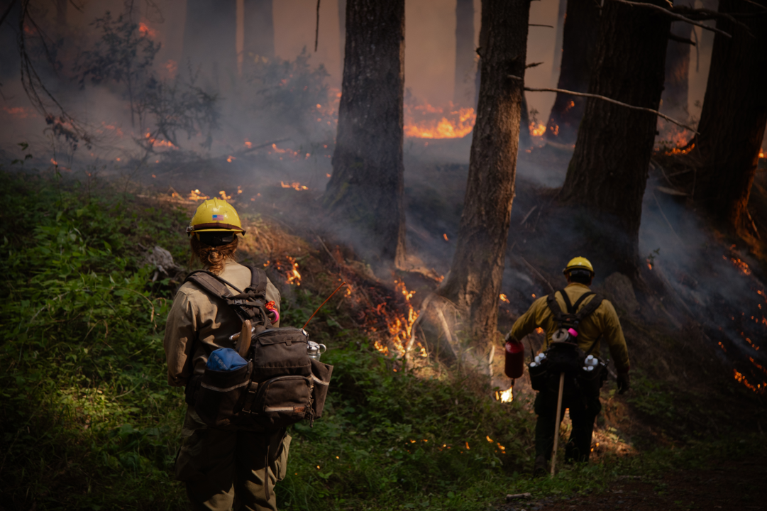 Prescribed Burns Planned for Bald Hills This Fall