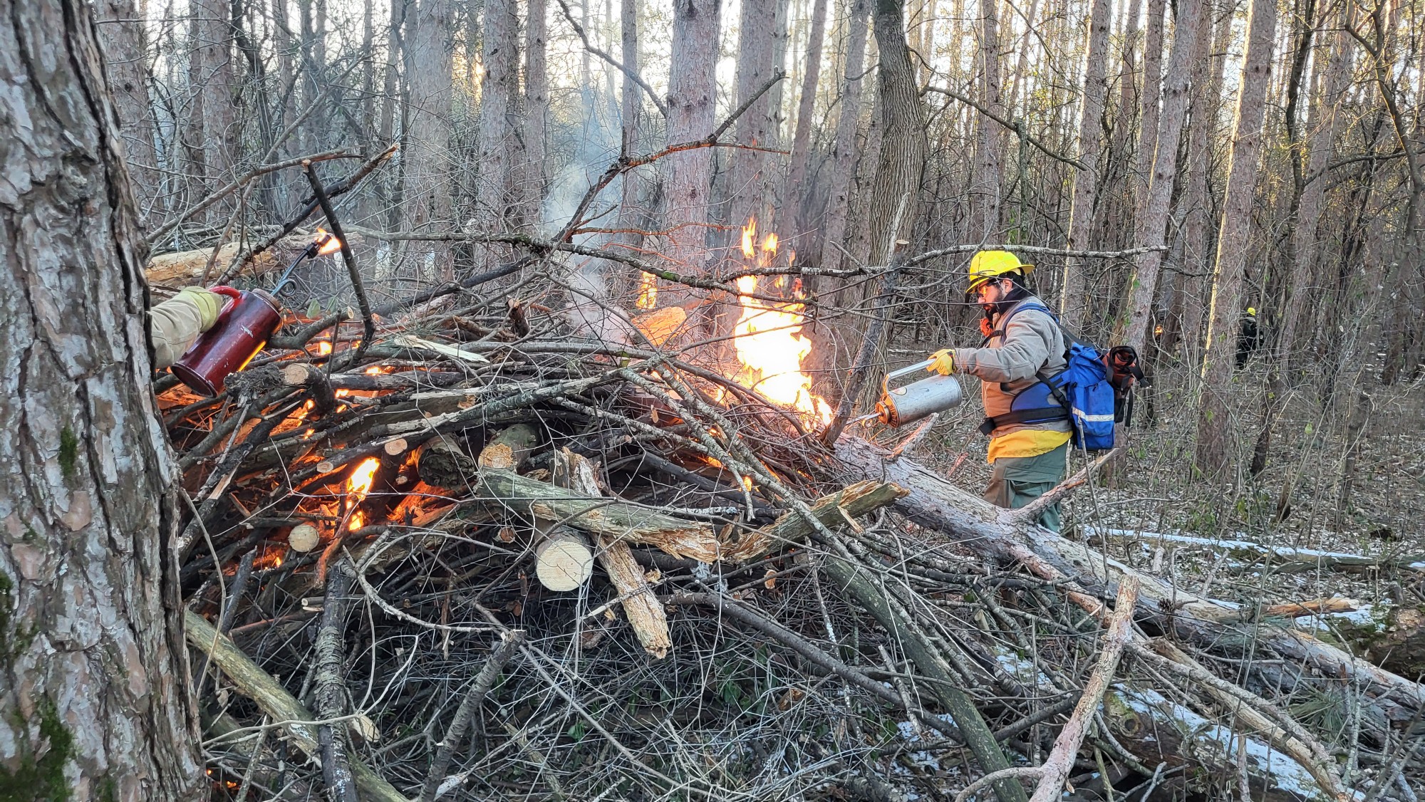 Pile Burning: Winter 2026