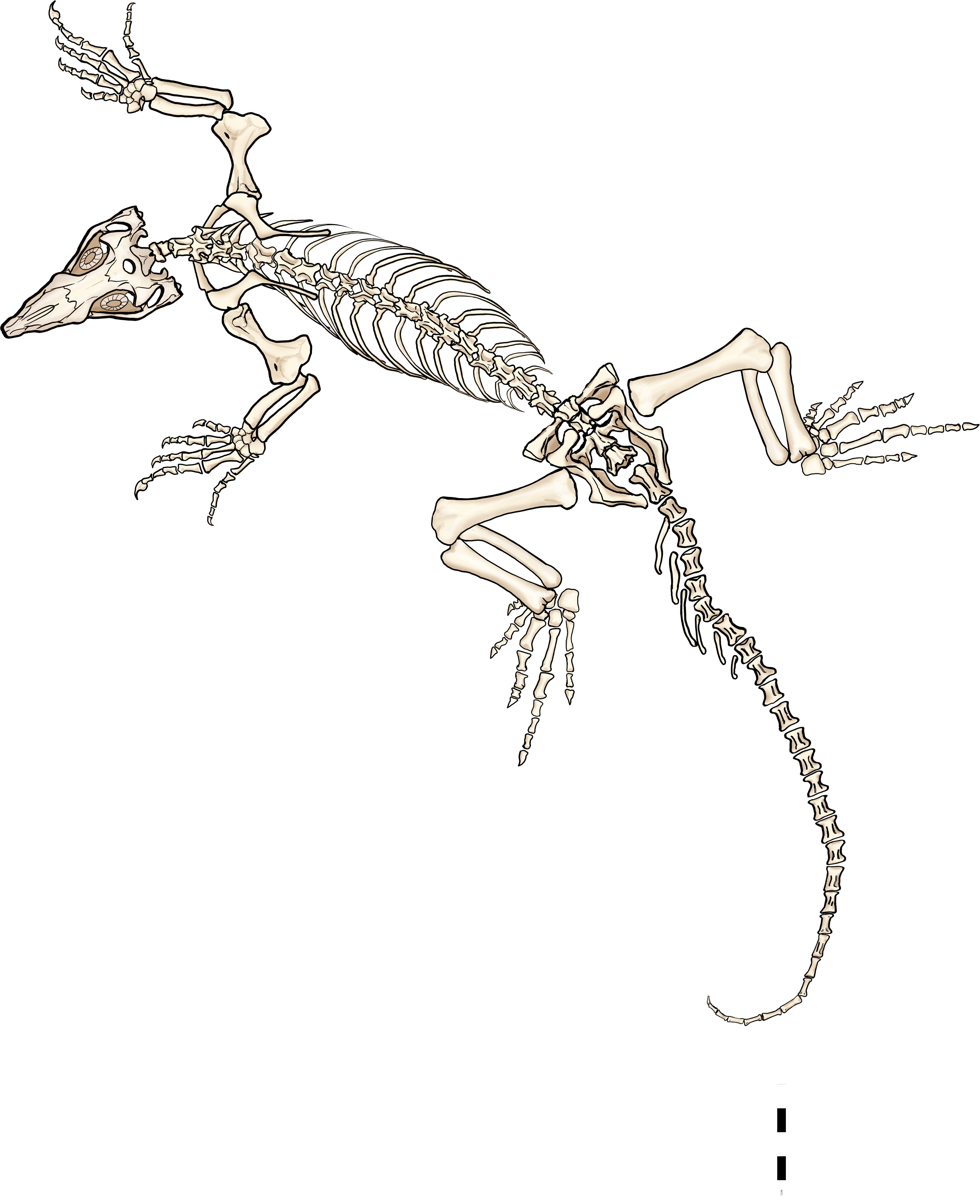 Missions To Celebrate Park Fossil Finds With Special Programming