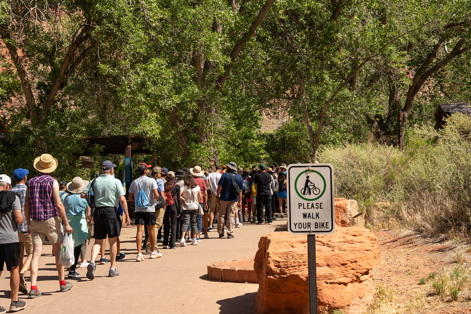 Independence Day Weekend 2026: Plan Ahead and Prepare for your visit to Zion National Park